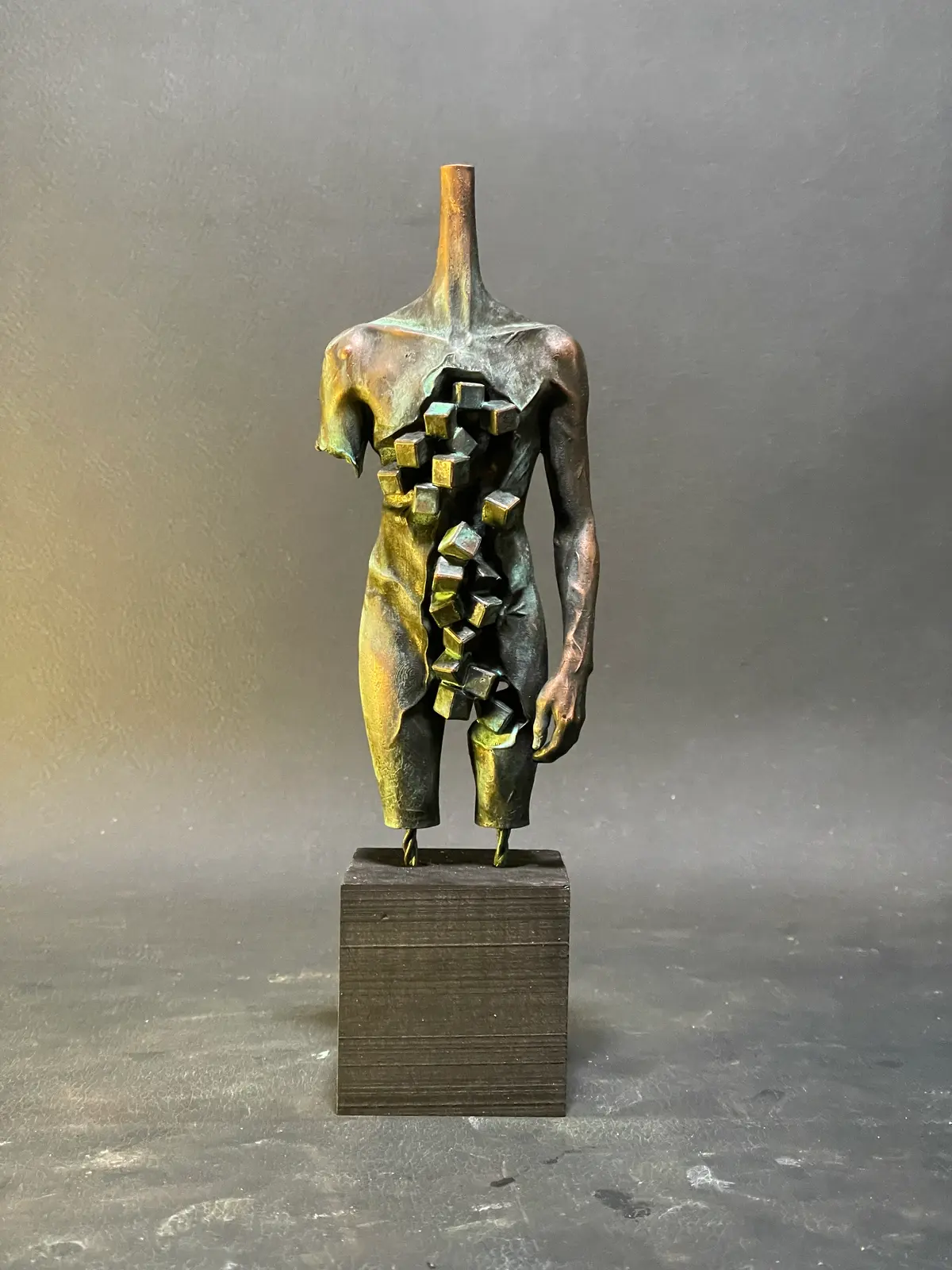 Data Body