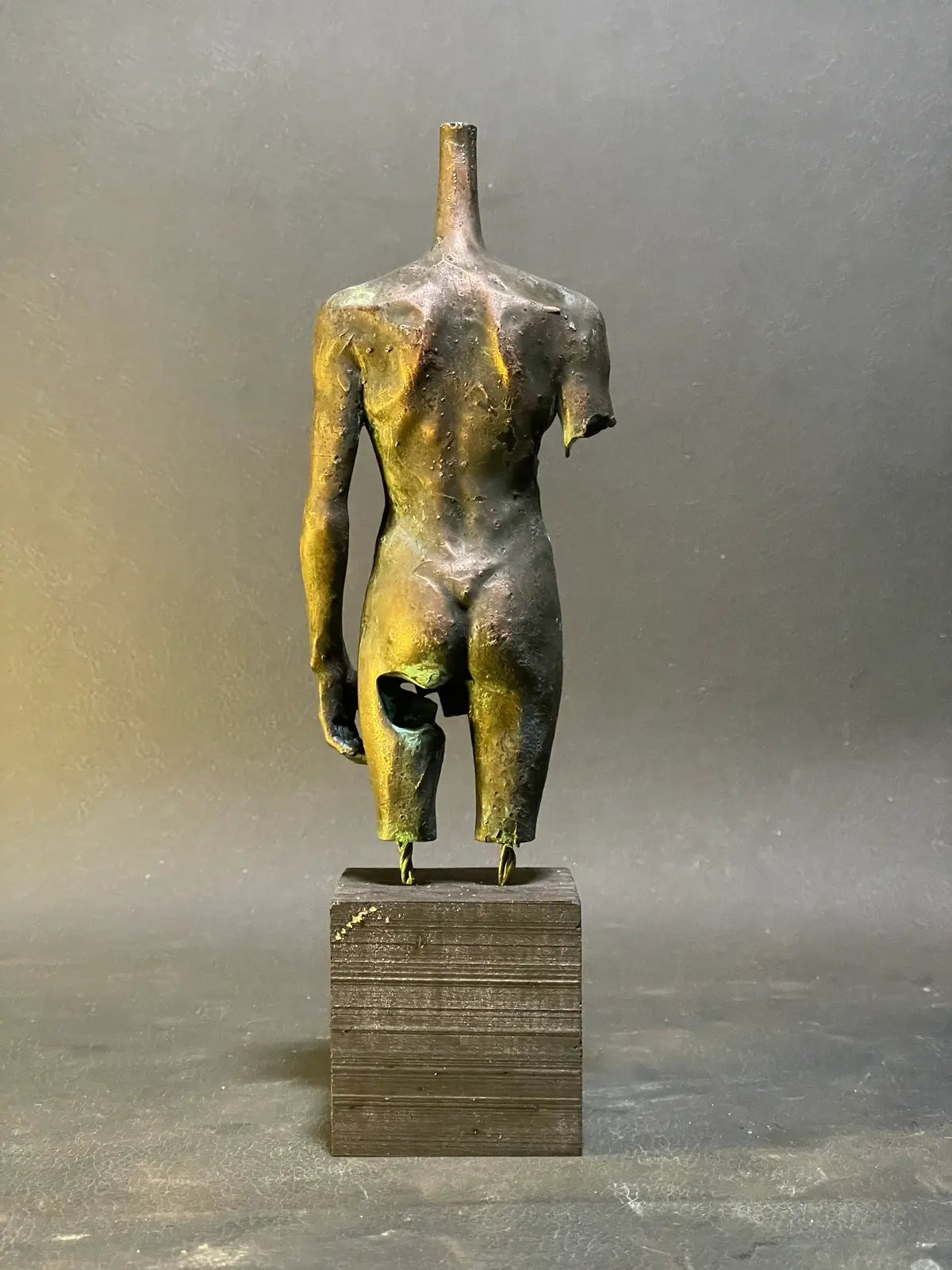 Data Body