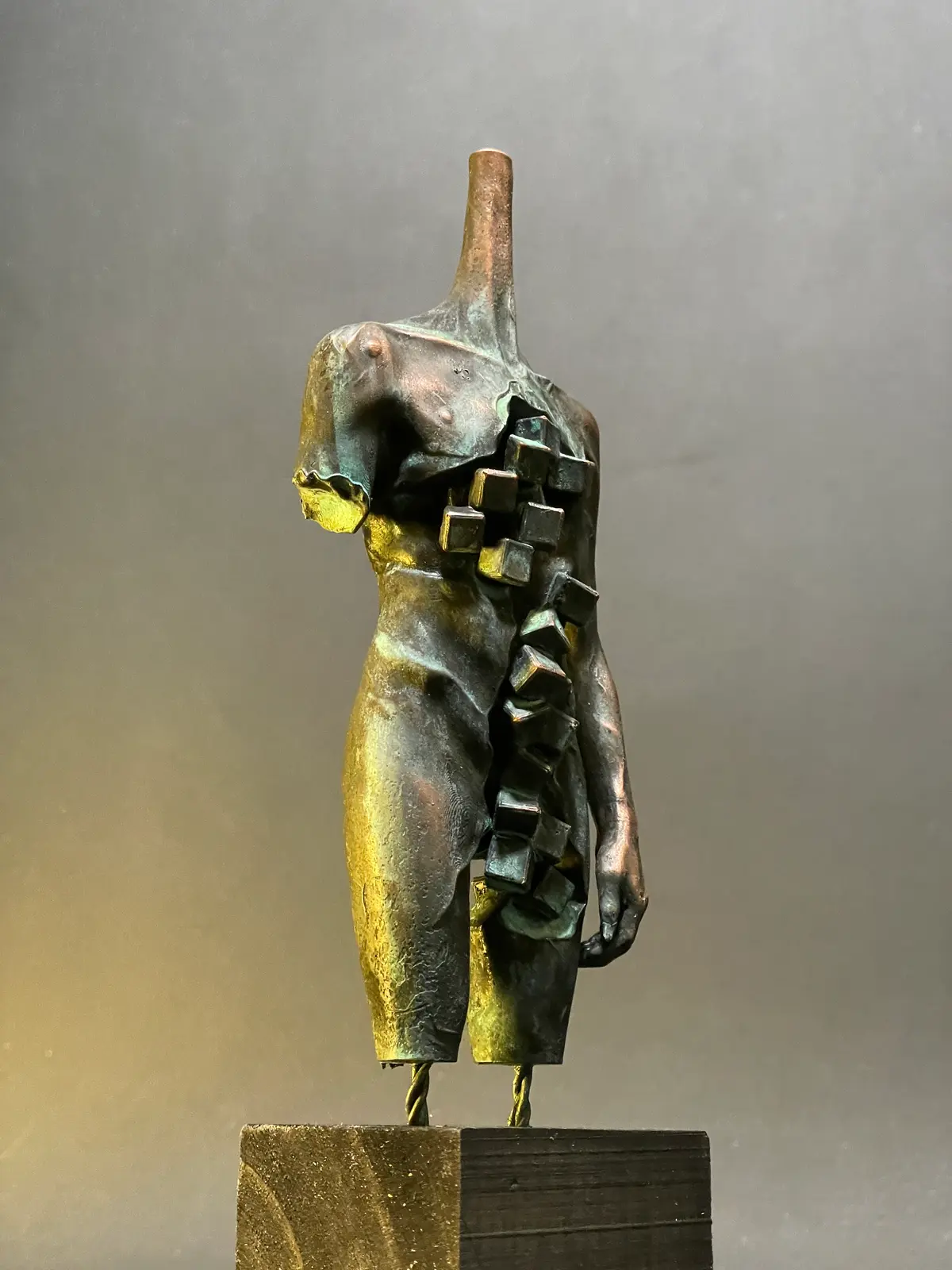 Data Body