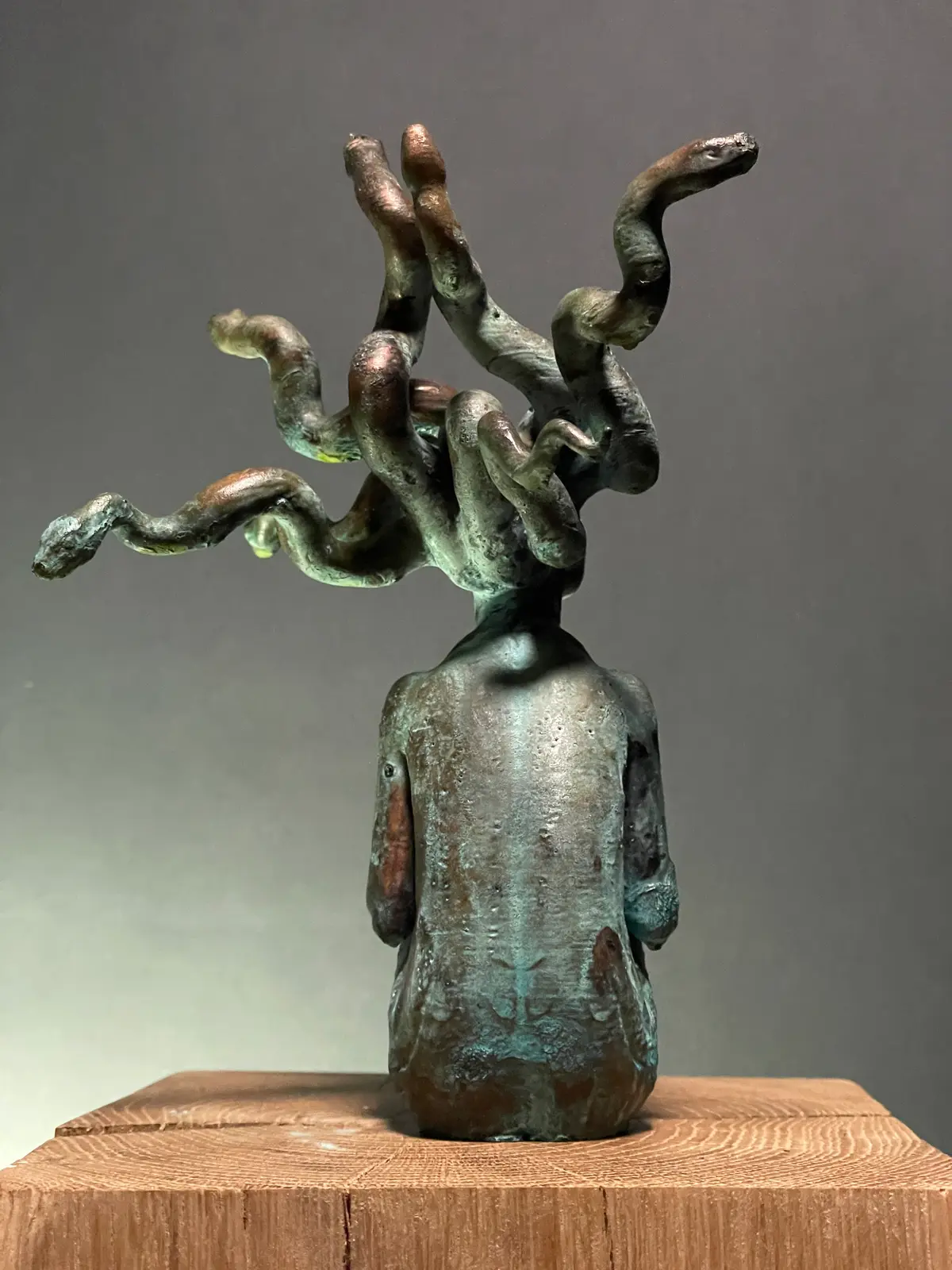 Medusa (Before)